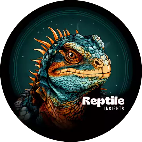 Reptile Insights Logo
